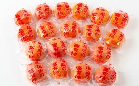 【先行予約】伊藤園 冷蔵富有柿 （Lサイズ） 17玉～19玉 約5kg 【2025年12月中旬から12月下旬出荷予定】 ／ 富有柿 柿 果物 フルーツ くだもの うきは市