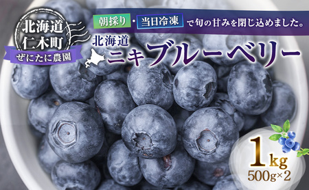 ブルーベリー 朝採り 冷凍 北海道産ブルーベリー【500g×2袋】
