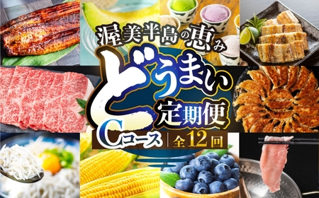 【定期便】どうまい定期便 12回 海鮮コース