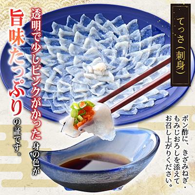 ふるさと納税 小浜市 若狭ふぐ　てっさ(6人前) |  | 01