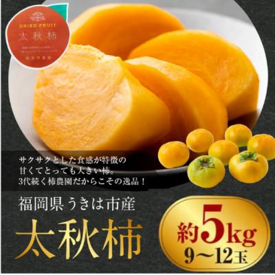 ふるさと納税 うきは市 【先行予約】西見柿農園 太秋柿 9〜12玉(約5kg)【2026年10月下旬〜11月下旬発送予定】 |  | 01