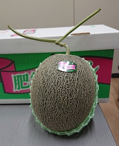 メロン 肥後グリーン 2玉【2026年5月中旬〜7月下旬頃順次発送予定】