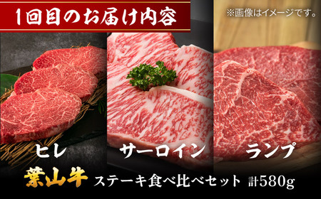 【全3回定期便】毎月内容が変わる！葉山牛お楽しみ便 牛肉 食べ比べ[ASAP087]
