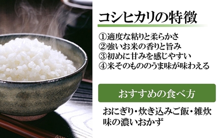 【11月下旬発送】令和7年産新米 新潟米 3種食べ比べ 無洗米 各2kg（計6kg）コシヒカリ・新之助・ミルキークイーン 田村農産[Y0346]