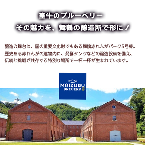 ブルーベリーミライエール 330ml×6本 | ブルーベリー 地ビール クラフトビール