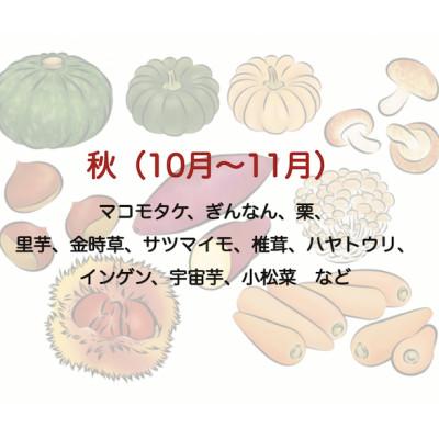 ふるさと納税 南伊豆町 湯の花　季節の野菜と果物セット |  | 03