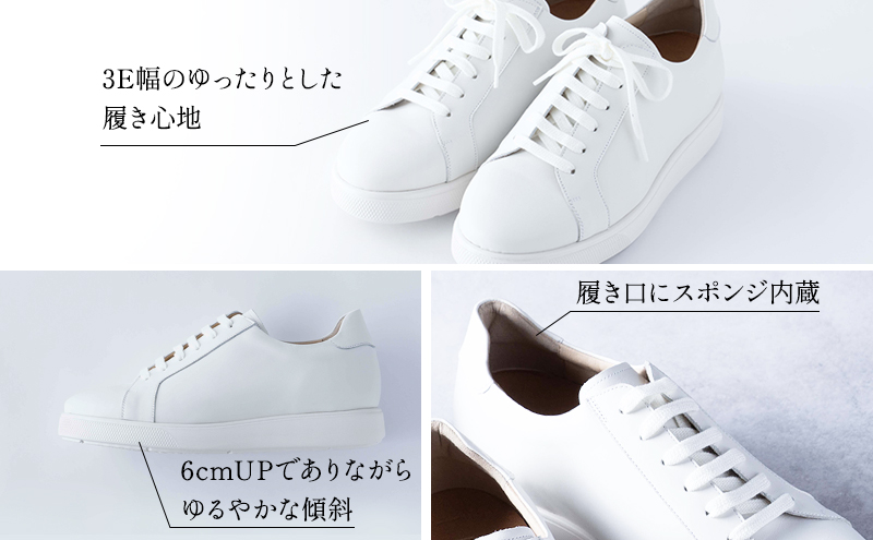 レザースニーカー 本革 メンズ 牛革スムース カジュアル 紳