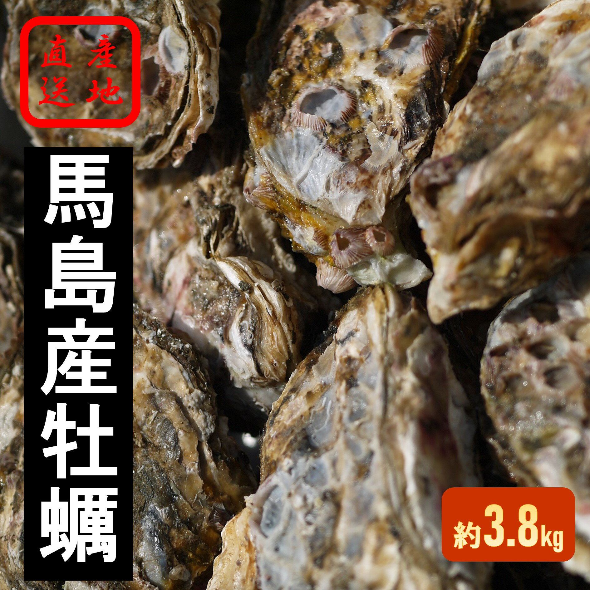 【ふるさと納税】馬島産　牡蠣（冬季限定）(D-4) ※2026年1月中旬～3月下旬頃に順次発送予定