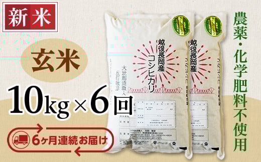 
            E1-G106A【6ヶ月連続お届け】新潟県長岡産コシヒカリ玄米10kg
          