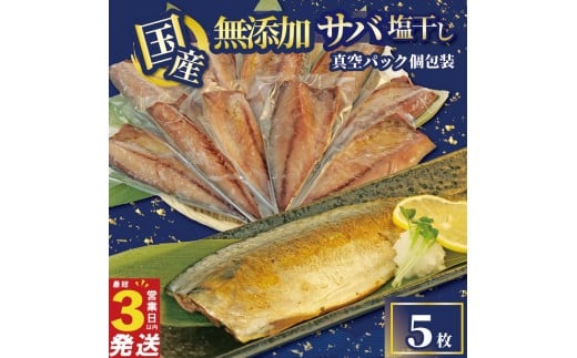 さば 干物 5枚 国産 無添加 サバ 塩干し 真空パック 個包装 焼くだけ 簡単調理 3営業日 以内 スピード発送 鯖 ギフト 贈答用 ひもの 惣菜 おかず 静岡 沼津