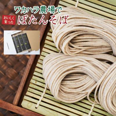 ふるさと納税 新得町 ワカハラ農場でおいしく育ったぼたんそば《太麺》4束 L-1013