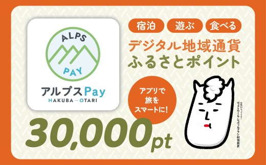 白馬村・小谷村 デジタル地域通貨「アルプスPay」 ふるさとポイント30,000pt（30,000円分） アルプスペイ 地域限定通貨 電子決済 キャッシュレス 飲食 宿泊 体験 電子通貨 長野県 北アルプス【L0020680】