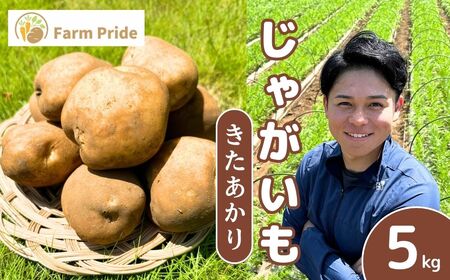 ＜先行予約＞じゃがいも きたあかり 5kg | じゃがいも じゃがいも じゃがいも じゃがいも じゃがいも