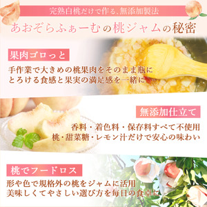 桃ジャム 瓶タイプ ～果肉ゴロっと贅沢仕上げ～ 2個入り【aozf004】