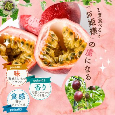 ふるさと納税 薩摩川内市 【先行受付】数量限定 甑島のパッションフルーツ 2.5kg ご自宅用 BS-639 |  | 01