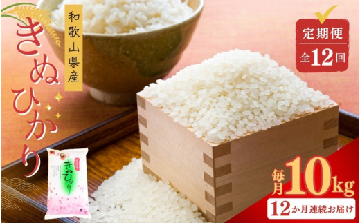 【お米の定期便／全12回】和歌山県産キヌヒカリ 120kg (10kg×12回)（2024年産) 【sml430-kinu-10x12】
