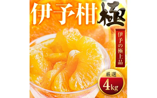 ＜太陽をたっぷり浴びた＞伊予柑＜極＞4kg＜C49-42＞【1509739】 YWTZ034