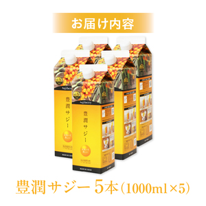 豊潤サジー 1000ml×5本セット サジージュース【紙パックタイプ】 鉄 鉄分 果実