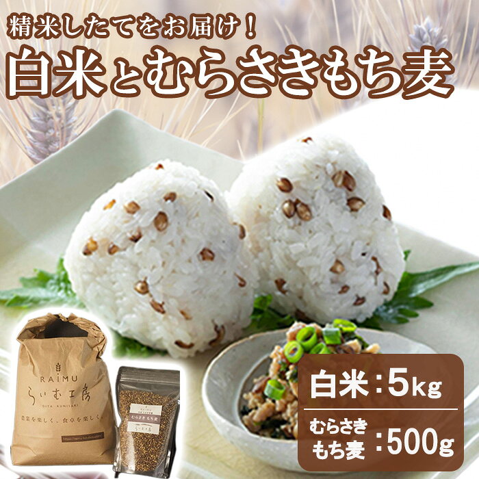 【ふるさと納税】白米(5kg)＆むらさきもち麦(500g) 常温 もち麦 紫もち麦 精米 白米 食物繊維 大麦 国産 【opas003】【らいむ工房】