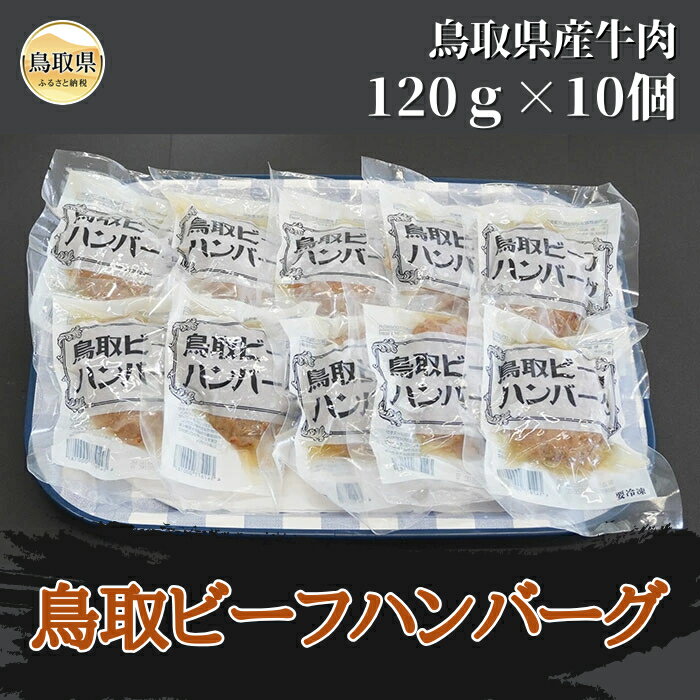 【ふるさと納税】A25-012 鳥取ビーフハンバーグ 120g×10個