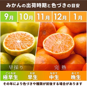 有田みかん 家庭用 完熟 10kg+250g（傷み補償分）サイズ混合 ｜ みかん