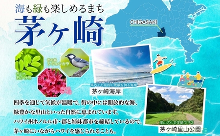 釣り具 剛樹 オーダーメイド チケット 50000円分 釣り具