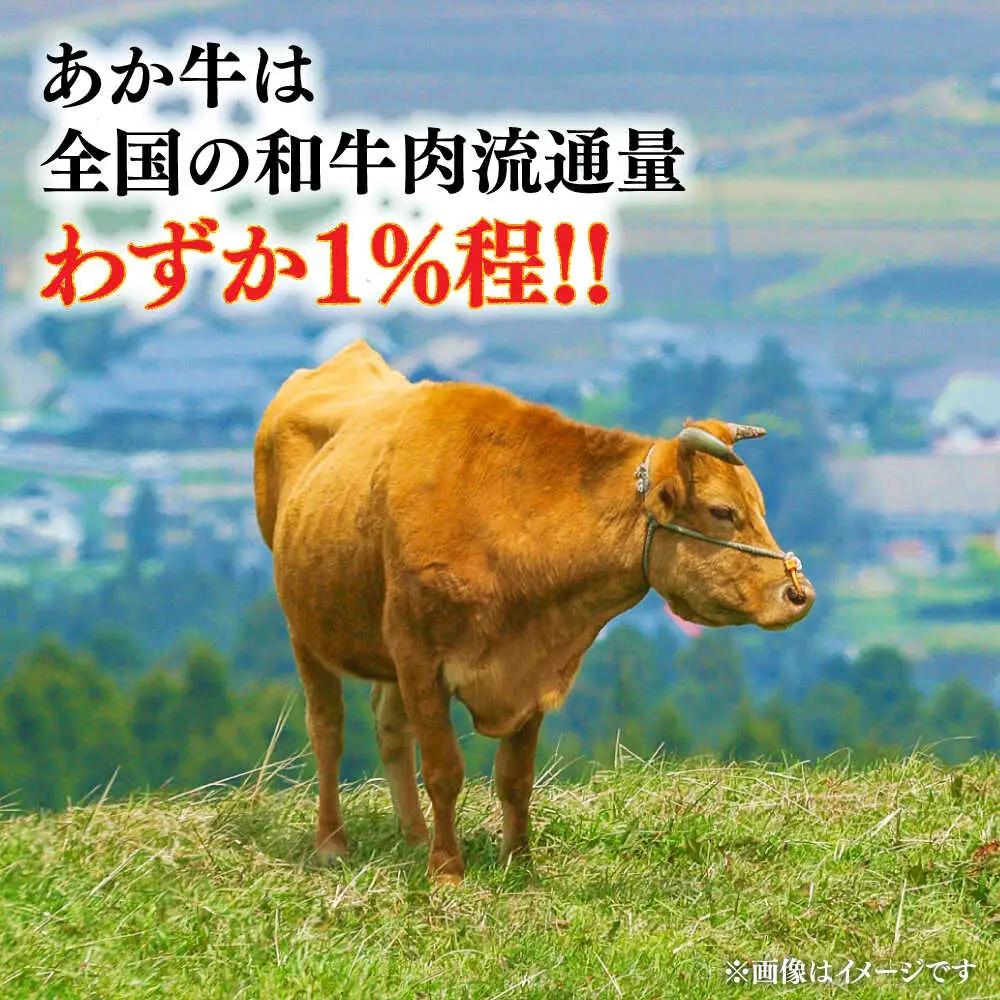 ハンバーグ  約120g×6 ハンバーグ BHAS001