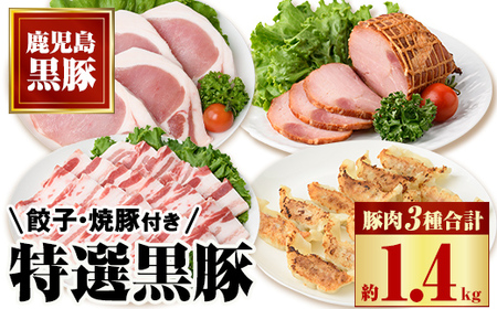 【B02091】特選黒豚(計約1.4kg)  黒豚焼豚(約200g×2個) 黒豚餃子(12個入×1P) 鹿児島 国産 九州産 黒豚 豚肉 お肉 バラ肉 ロース トンカツ 焼豚 叉焼 チャーシュー 餃子 ぎょうざ ギョーザ おかず 惣菜 ギフト 贈答【和田養豚】
