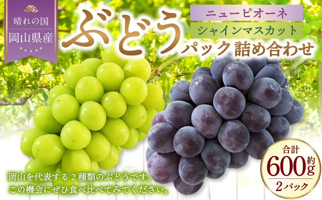 
            岡山県産 ぶどうパック詰合せ ※2種2パックセット （ ニューピオーネ ・ シャインマスカット ）【2026年9月上旬～10月下旬発送予定】 ／ ぶどう ブドウ 葡萄 種なし 種無し ピオーネ マスカット 晴王 はるお フルーツ 果物 くだもの 果実
          