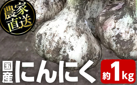 【A93001】＜先行予約受付中！2025年6月下旬より準備ができ次第発送＞農家直送 鹿児島県産 にんにく(約1kg) 鹿児島 国産 にんにく ニンニク 大蒜 野菜 ガーリック 薬味 【悠希農園】