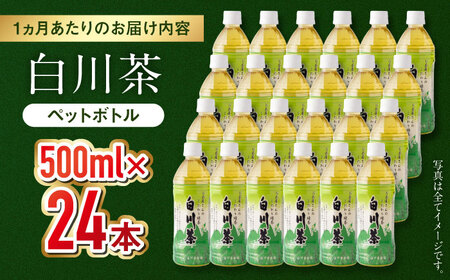 【3回定期便】 白川茶ペットボトル 500ml×24本入 緑茶 お茶 ペットボトル 500ml ケース 白川町 / 白川園本舗[AWAT006]
