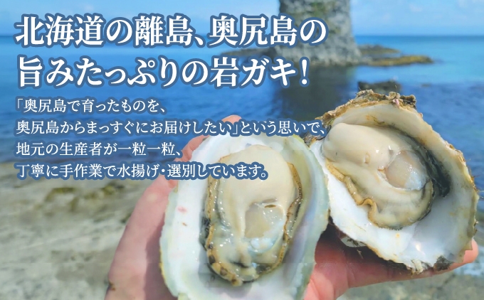 奥尻島産 養殖岩ガキ 数殻付き（加熱食用）一粒一粒、手作業で水揚げ・選別 旨みたっぷり | 北海道 奥尻町 ふるさと納税