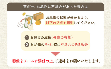 【ご家庭用】みかん 約 10kg（100-120個）ー2024年11月下旬より発送ー長与町/長崎西彼農業協同組合 長与支店 [EAH003] みかん ミカン 温州みかん みかん ミカン 温州みかん み