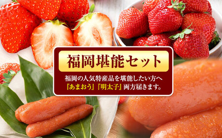 福岡県産あまおう & ふくや味の明太子 100g 南国フルーツ株式会社《12月上旬-3月末頃出荷》福岡県 小竹町 あまおう いちご めんたいこ 明太子 セット 送料無料【配送不可地域あり】