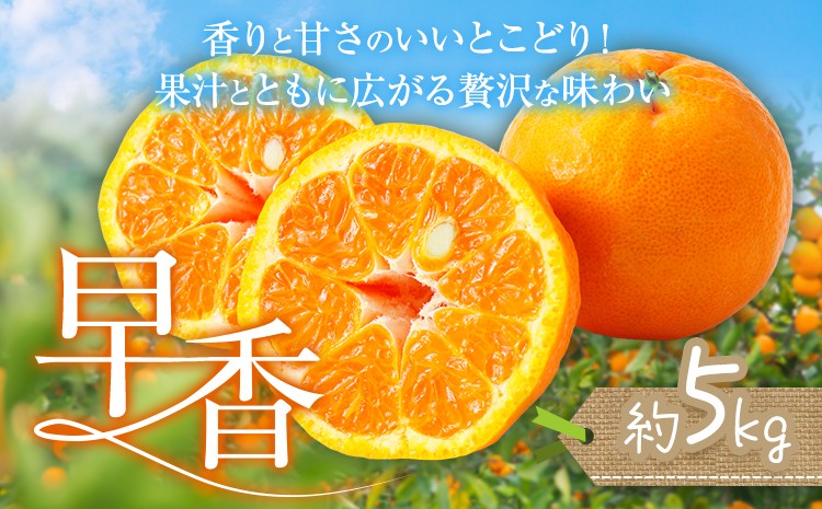 
                  みかん 早香 5kg 髙橋商店《11月下旬-1月中旬頃出荷》熊本県 苓北町 柑橘 かんきつ 果物 フルーツ ポンカン 温州みかん 蜜柑
                