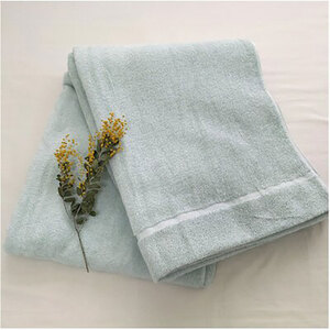 ＜シングル＞太陽の恵み テキサスコットンタオルケット(140×190cm)　SNT-20TX-GR