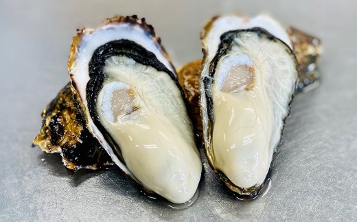 殻付き牡蠣（冷凍） 2kg 宮城県産 生牡蠣 牡蛎 牡蠣 大粒 カキ オイスター カキフライ 牡蠣鍋 海鮮 国産 魚介 産地直送 海のミルク 殻付き 冷凍【株式会社和がき】ta712