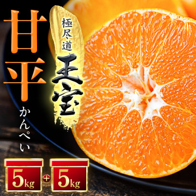 
            「玉宝ブランド」＜甘平＞10kg＜H64-45＞【1511265】
          
