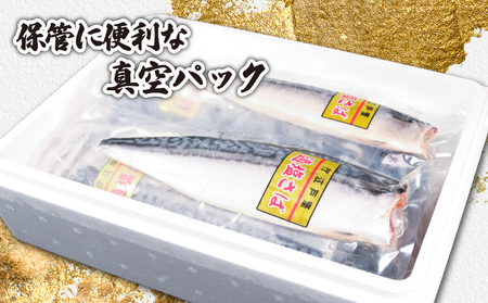 お試しセット 適塩さば 真空 個包装 鯖 12枚 適塩 昆布 純米酒