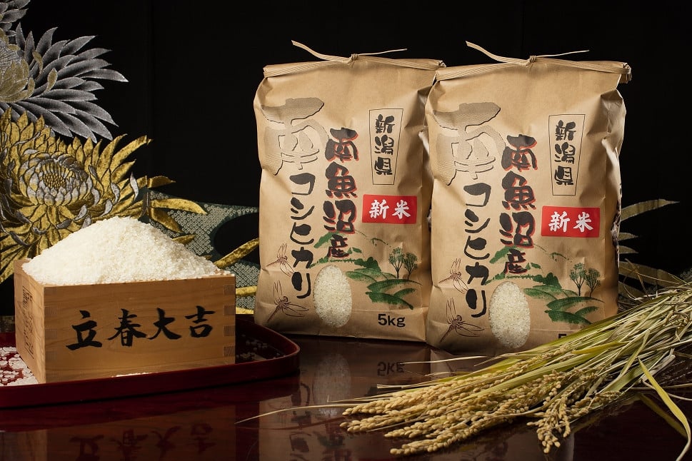 
            【頒布会】【令和7年産 新米予約】南魚沼塩沢産こしひかり（白米10kg×全12回）【令和7年11月上旬より順次発送予定】
          