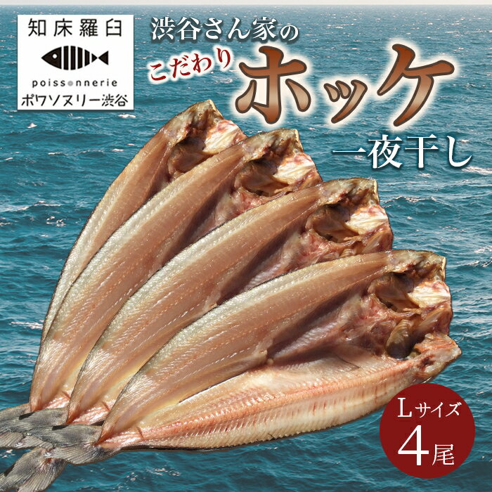 【ふるさと納税】北海道知床羅臼産 渋谷さん家のこだわりホッケ一夜干し Lサイズ4尾（Lサイズ:350g~399g×4パック） 魚 北海道 海産物 魚介類 魚介 干物 ほっけ 焼魚 おかず 生産者 支援 応援 F21M-615