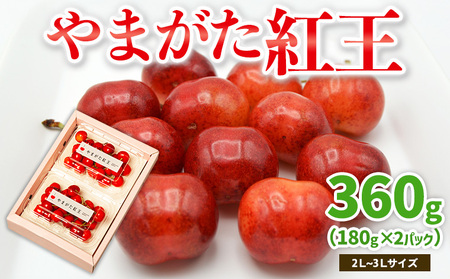 やまがた紅王 約360g 2～3Lサイズ (180g×2パック) 【令和8年産先行予約】FS25-019
