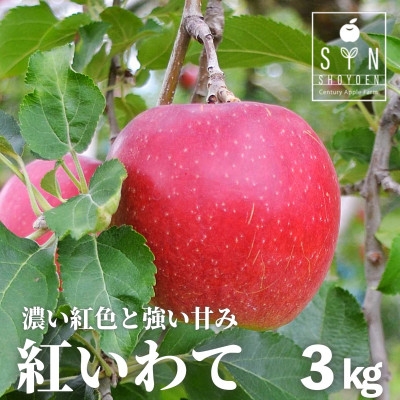 
                  りんご 紅いわて 3kg 松陽園 樹上 完熟りんご 農家直送 先行予約【1516188】
                