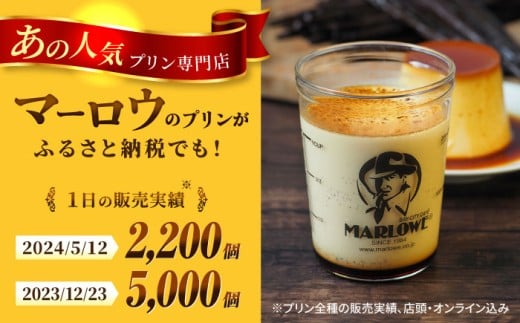 【全12回定期便】葉山ビーカープリン　北海道 フレッシュクリームプリン（180g）とカスタードプリン（180g）×2個セット プリン ぷりん スイーツ デザート ギフト 焼きプリン マーロウ 人気 詰