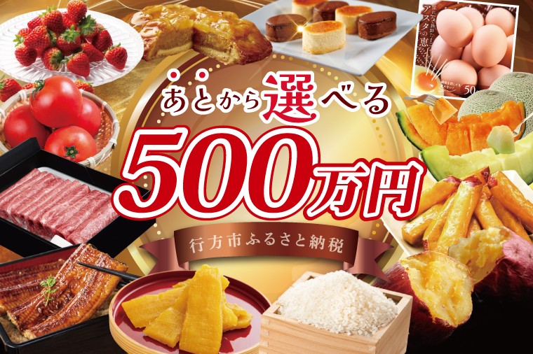 
                  ★あとから選べる★茨城県行方市ふるさとギフト 寄附額：500万円分｜あとから選べる 後から選べる 選べる ギフト 肉 お肉 米 お米 コシヒカリ ミルキークイーン さつまいも サツマイモ 芋 お芋 うなぎ 干し芋 紅はるか スイーツ カタログ 500万円 茨城県 行方市 人気(CU-105)
                