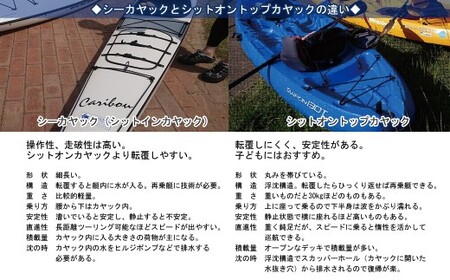 ファミリー向け 新居大島シットオントップカヤック体験 1/2DAY（大人2名）