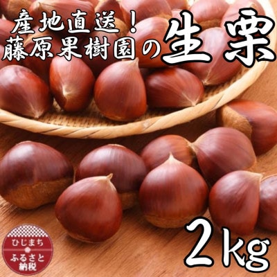 産地直送!藤原果樹園の生栗厳選2キロ【配送不可地域：離島】【1541135】