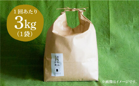 【全3回定期便】【令和6年度産】おぢかんうまか米（小値賀町産こしひかり 3kg ・精白米）  総計9kg [DAB011] コシヒカリ こしひかり お米 常温 [DAB011]