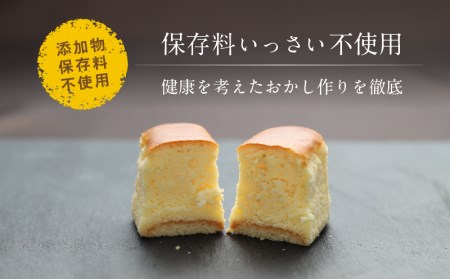 ふわとろ半熟チーズケーキ 10個入 2箱  毎日お店で丁寧に焼いています！ フランス産オーストラリア産 三種のチーズ使用【ならや】｜チーズケーキ 半熟 贈答用 プレゼント ギフト naraya