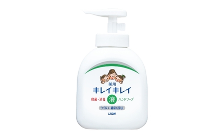 ハンドソープ キレイキレイ 液体 本体 詰替 ハンドソープ